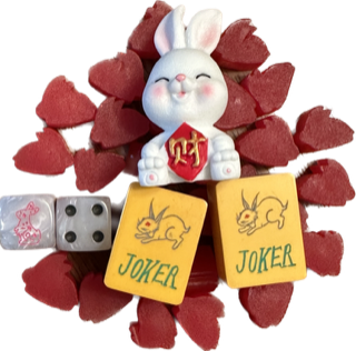 2023  Edition - Year of the Rabbit Mahjong Dice™  - one pair of 16 mm dice